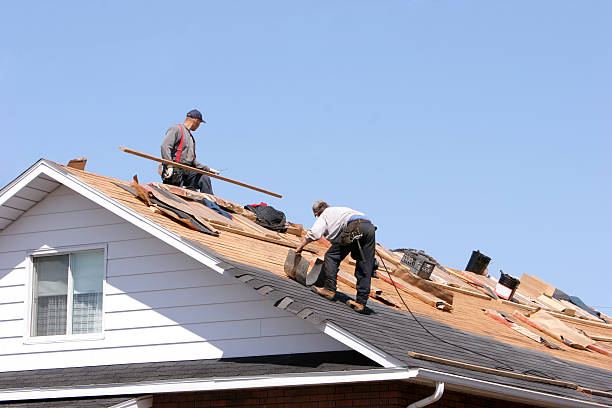 Steel Roofing in Shenandoah, TX